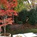 Judy Hyatt - Facebook