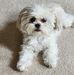 Judy Hyatt - Facebook