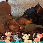 Judy Hyatt Tramel - @judytramel - Instagram