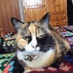Judy Iliff - @judy.iliff.3 - Instagram