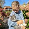 maineigesfi - @judy.haines8 - TikTok