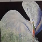 Judy Ingham - Facebook