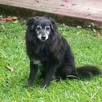 Judy Ingram - @judy.ingram.311 - Instagram