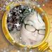 Judy Isham - Facebook