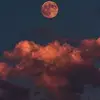 Jude Itani - @jude.itani - TikTok