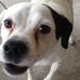 Judy Ivey - Facebook