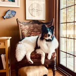 Judy Jackman - @judy.jackman - Instagram