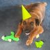 Judy Jackman - Facebook