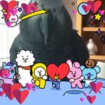 Judy Jackman York - @jkjyork - Instagram