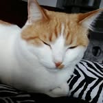 Judy Jacobi - @judy_aus_norddeutschland - Instagram