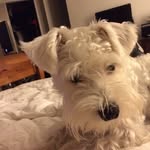 Judy Jacobi - @judyjacobi - Instagram
