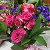 Judy Jacobs - @judy.jacobs - TikTok