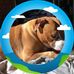 Judy Jeter - Facebook