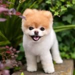 🐶Judyta🐶Karpińska🐶 - @xx._judi_.xx - Instagram