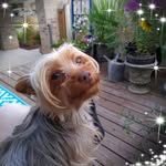 Judy Keeling - @judy.keeling.54 - Instagram
