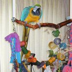 Judy Kell - Facebook