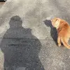 Judy Kelley - @judy.kelley6 - TikTok