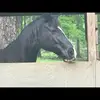 judykell2 - @judykell2 - TikTok