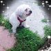 Judy Kellerman - Facebook
