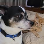 Judy Sanders Kellermann - @judykellermann - Instagram