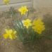 Judy Kenyon - Facebook
