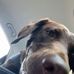 Judy Kenyon - Facebook
