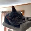 judykenyon493 - @judykenyon493 - TikTok