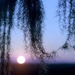 Judith Keyserling - @judykeyserlign - Instagram