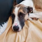 Judy Kidd - @judy.kidd.7311352 - Instagram