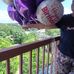 Judy Kiger - Facebook