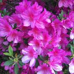 Judy Jenkins Kiser - @kiserjudy - Instagram
