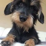 Judy Kiser - @judyakiser - Instagram