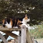 Judy Knapp - @judy.knapp.31 - Instagram