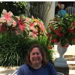 Judy Knapp - @heyjudeknapp - Instagram