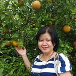 Judy Koh - @judy.koh.5667 - Instagram