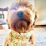 Judy Koh - @pinkradished - Instagram