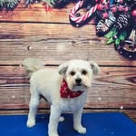 Judy Kunkel - @judy.kunkel.3 - Instagram