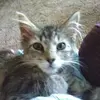 Judy Kunkel - @judy.kunkel - TikTok