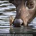 Judy Kuri - Facebook