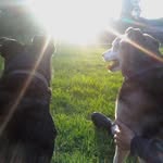 Judy Lacken - @judylacken - Instagram