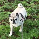 Judy Lackey - @judy.lackey1 - Instagram