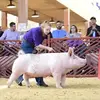 judylackey645 - @judylackey645 - TikTok
