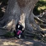 Judy Lampe - @judylampe - Instagram
