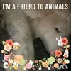 Judi Lantz - @judi.lantz - TikTok