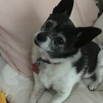 Judy Lawton - Facebook