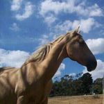 Judy Lawton - @judy.lawton.5264 - Instagram