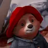 lemon.judy - @lemon.judy - TikTok