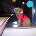 Judy Lessard - Facebook
