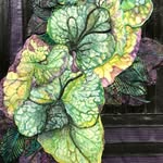 Judy Levy - @judylevy_art - Instagram