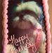 Judy Lightner - Facebook